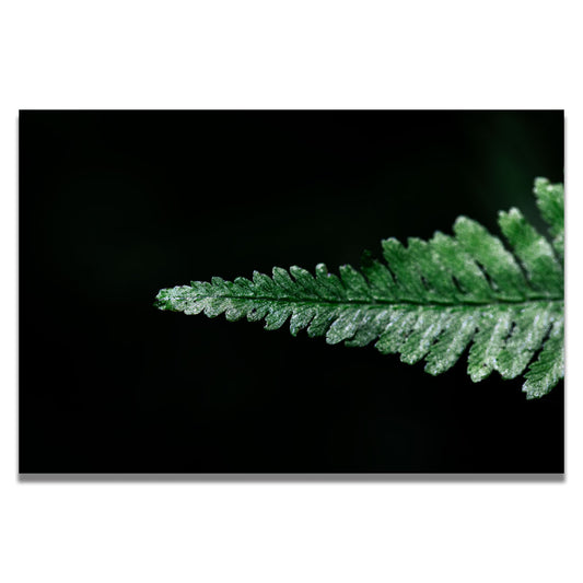 Fern Art Print