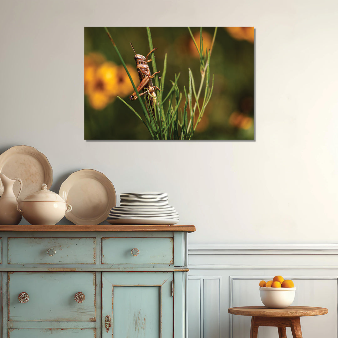 Grasshopper Artwork