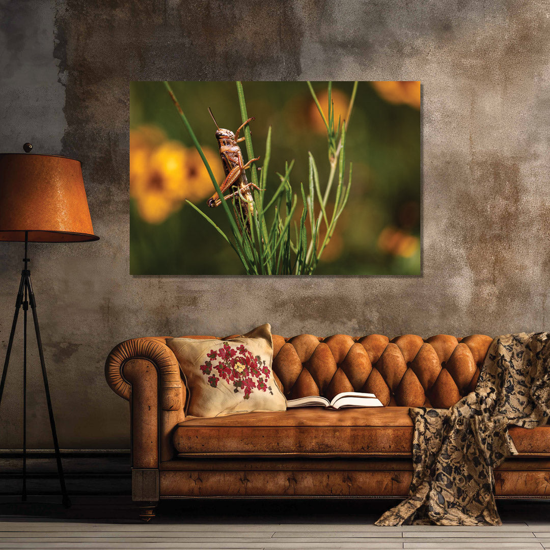 Grasshopper Artwork