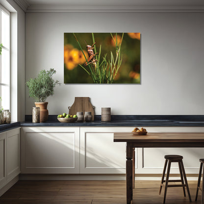 Grasshopper Artwork